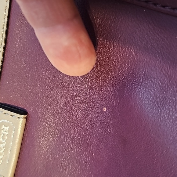 Coach Bag - Picture 8 of 16